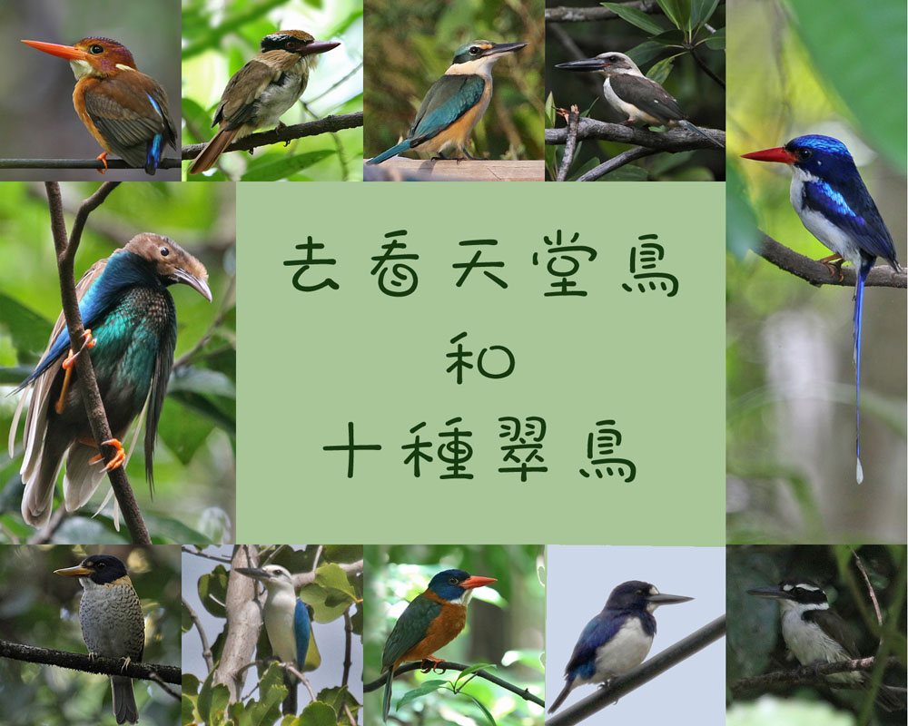 cover slide chinese s.jpg