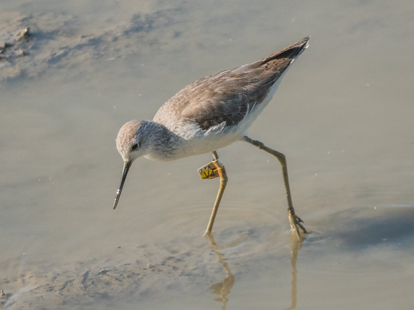 DSC09811 (Large).jpg