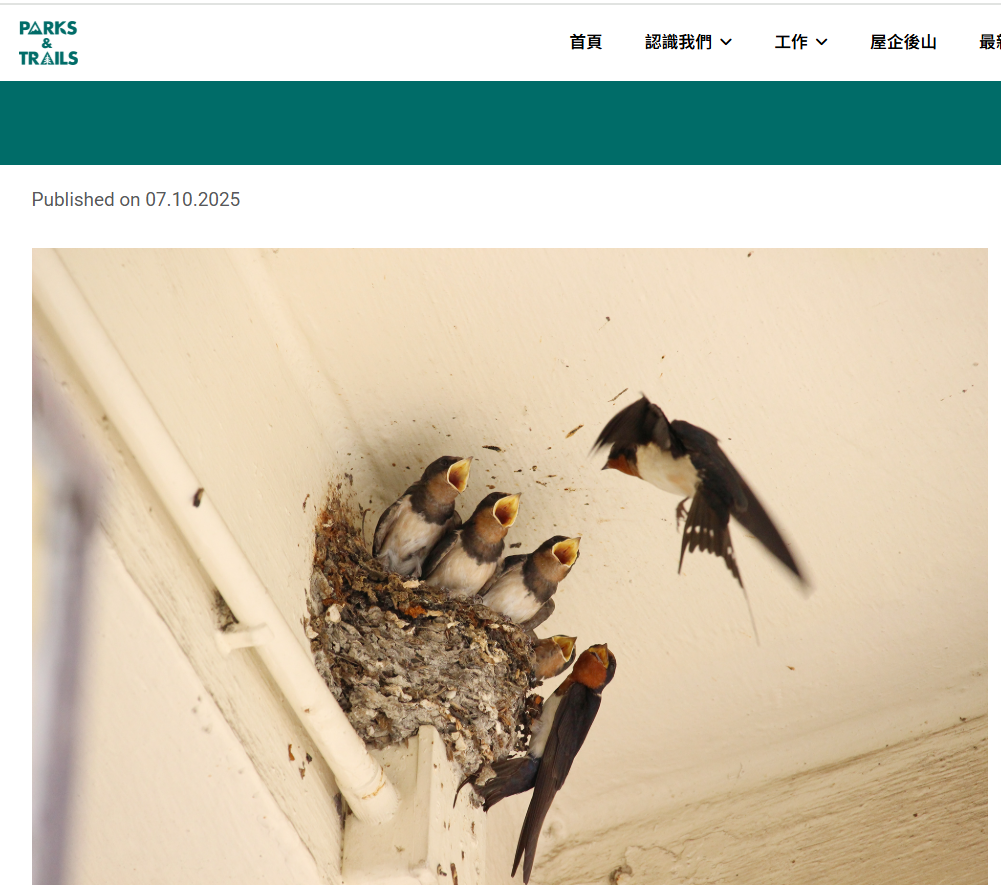 Parks & Trails 都市生態-家燕.png