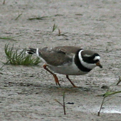 070422_IMG_2170 Re.jpg